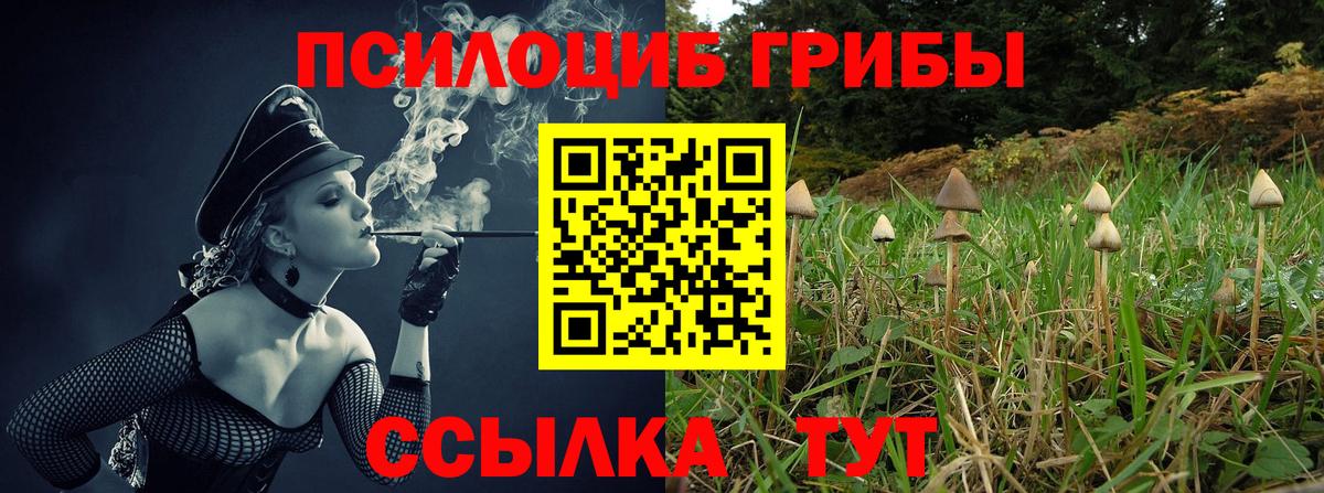 Псилоцибиновые грибы мицелий  Псилоцибиновые грибы Psilocybine cubensis  Вход с VPN  Майкоп 